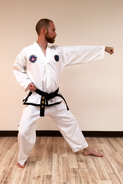 Taekwon-Do Punch 16