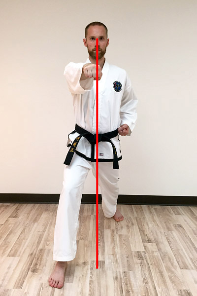 Taekwon-Do Punch 11