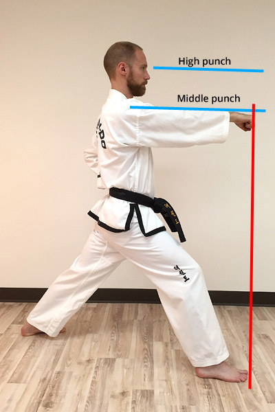 Taekwon-Do Punch 12
