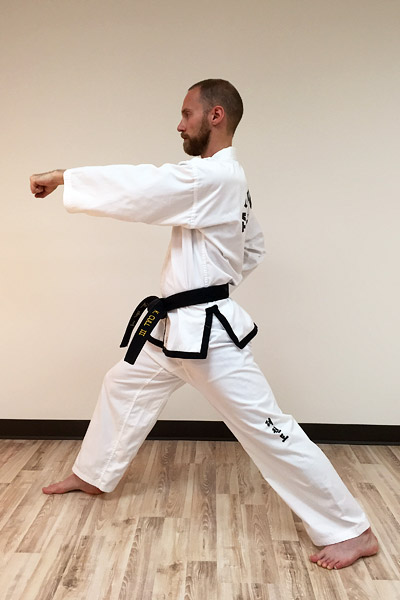Taekwon-Do Punch 13