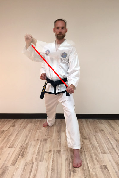 Taekwon-Do outer forearm low block motion