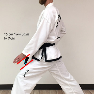 Taekwon-Do low knife-hand block measurements